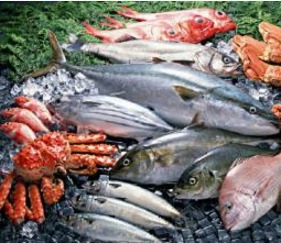 凍水產(chǎn)品及制品