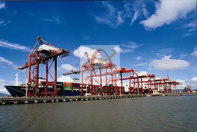 廣州南沙港哺乳用品出口報關(guān)_海運代理