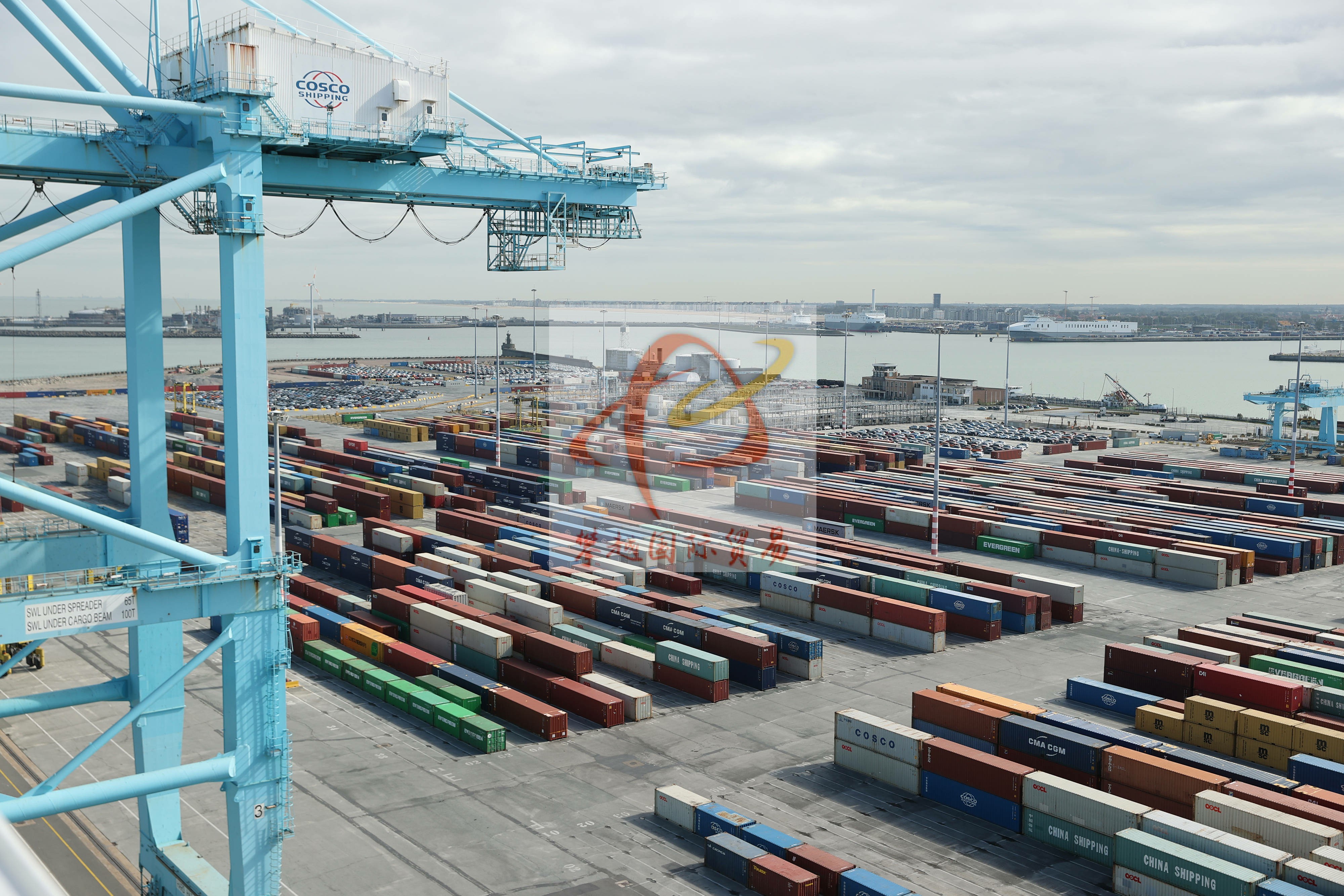 廣州南沙港消費電子出口清關(guān)_海運代理